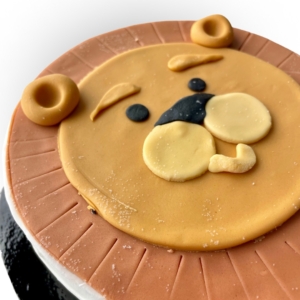Ijstaarten Kids – Kies jouw favoriete thema! 🐱🦊🦁🦩🎂